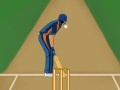                                                                     Super Cricket קחשמ