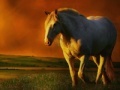                                                                     The horse at Sunset קחשמ