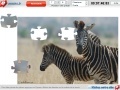                                                                     Zebras Jigsaw קחשמ