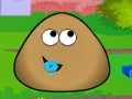                                                                     Pou Kindergarten קחשמ