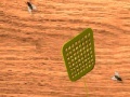                                                                     Fly Swatter קחשמ