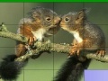                                                                     Lovely squirrels slide puzzle קחשמ