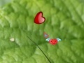                                                                     Hidden Nature Hearts קחשמ