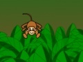                                                                     Banana Monkeys קחשמ