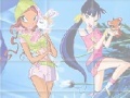                                                                     Winx fairies קחשמ