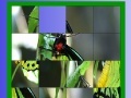                                                                     Green butterfly slide puzzle קחשמ