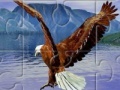                                                                     Eagle קחשמ