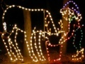                                                                     Christmas Lights קחשמ