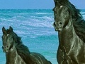                                                                     lack Horses Jigsaw Puzzle קחשמ