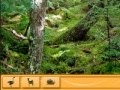                                                                     Jungle 2: Hidden objects קחשמ