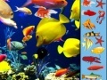                                                                     Underwater Hidden Objects קחשמ