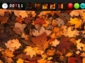                                                                     Autumn Hidden Images קחשמ