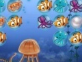                                                                     Jellyfish sea puzzle קחשמ