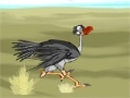                                                                     Ostrich Jump 3 קחשמ