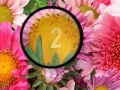                                                                     Flowers 3 Hidden Numbers קחשמ