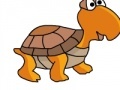                                                                     Chinese turtle קחשמ