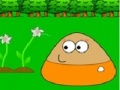                                                                     Puzzle Pou in Garden קחשמ