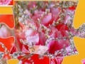                                                                     Carnation Topiary Jigsaw קחשמ