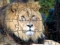                                                                     Lion קחשמ