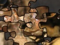                                                                     Puzzle of the American toad קחשמ
