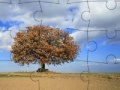                                                                     Puzzles: Stunning Nature קחשמ