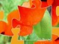                                                                     Oriental Poppy Jigsaw קחשמ
