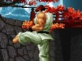                                                                     The king of the fighters. Wing V1.8 קחשמ