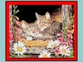                                                                     Art Kittens Jigsaw 2 קחשמ