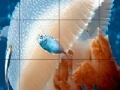                                                                     Mosaic jellyfish slide puzzle קחשמ
