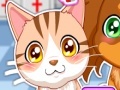                                                                     Pet hospital doctor קחשמ