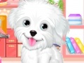                                                                     Fluffy puppy pet: Spa and care קחשמ