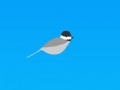                                                                     Trampoline chickadee קחשמ