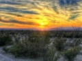                                                                     Big Bend Desert Jigsaw קחשמ