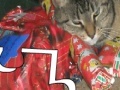                                                                     Jigsaw: Christmas Cat קחשמ