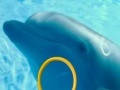                                                                       Dolphin Tale 2 Hidden Alphabets ליּפש
