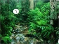                                                                     Escape from Amazon Forest קחשמ