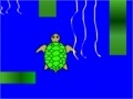                                                                     Terry the Turtle קחשמ