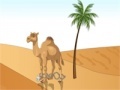                                                                     Camel Desert Escape קחשמ