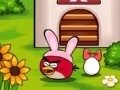                                                                     Angry Birds Egg Saving קחשמ