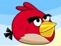                                                                     Angry Birds Bang Bang Bang קחשמ