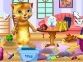                                                                     Ginger: Cleaning House קחשמ