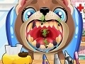                                                                     Puppy Teeth Dentist קחשמ