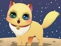                                                                     Cute Kitten Creator  קחשמ