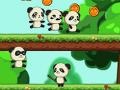                                                                     Panda Shock Troop  קחשמ