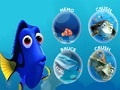                                                                     Dory's Memory  קחשמ