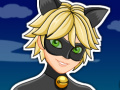                                                                     Miraculous Ladybug Cat Noir קחשמ