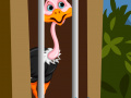                                                                     Ostrich Rescue קחשמ