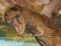                                                                     Dinosaur Land קחשמ