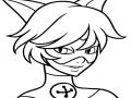                                                                     Cat Noir Coloring קחשמ