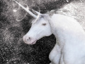                                                                     White Unicorn Hidden Stars קחשמ